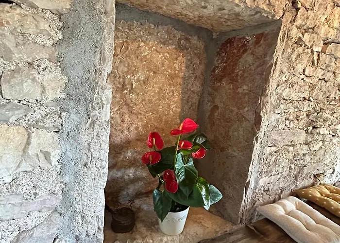 La Cazelle, Charme Sport Et Detente * Saint-Chels