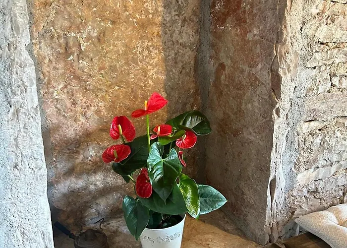 La Cazelle, Charme Sport Et Detente * Saint-Chels